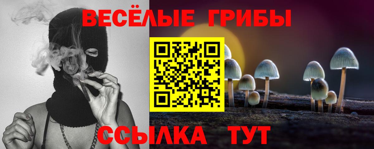 Псилоцибиновые грибы Magic Shrooms Щёлково