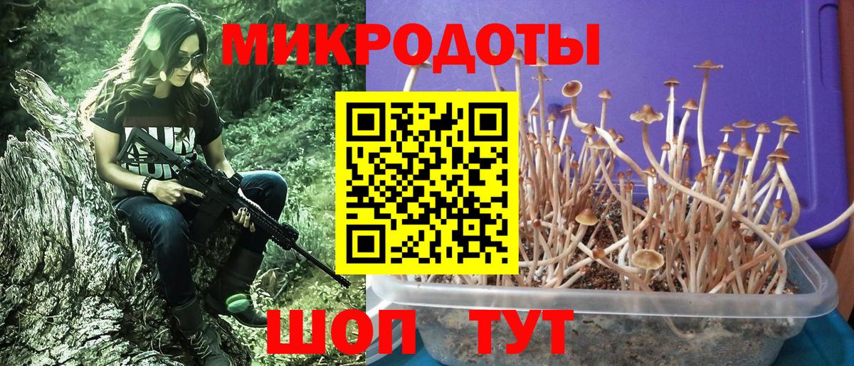 Щёлково  Псилоцибиновые грибы Magic Shrooms  Вход с VPN  где купить наркотик  Галлюциногенные грибы Psilocybe 